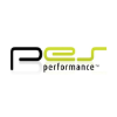 Performance Engineered Solutions (PES) Ltd's Logo