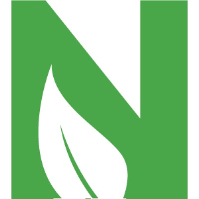 NEMS AS's Logo