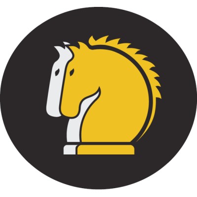 2Stallions Digital Marketing Agency's Logo