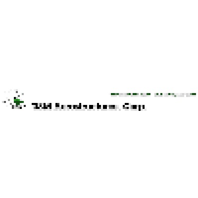 Usm Aerostructures Corp's Logo