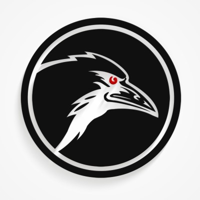 Raven Interactive's Logo