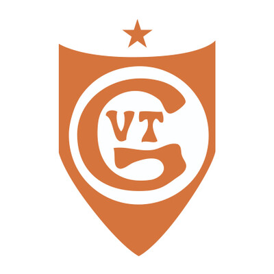 Guangzhou Vaiano Textiles Co. Ltd.'s Logo