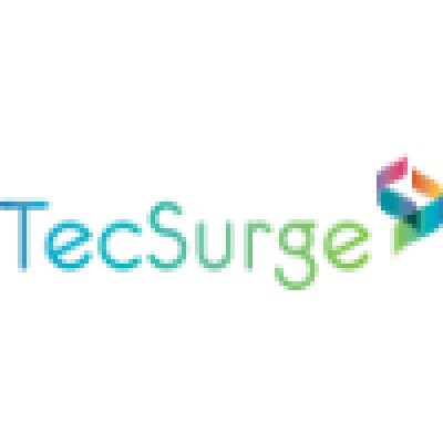 TecSurge's Logo