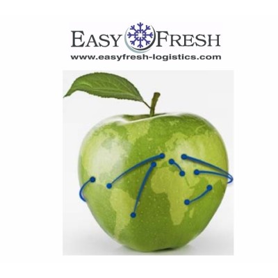 Easyfresh Logistics's Logo