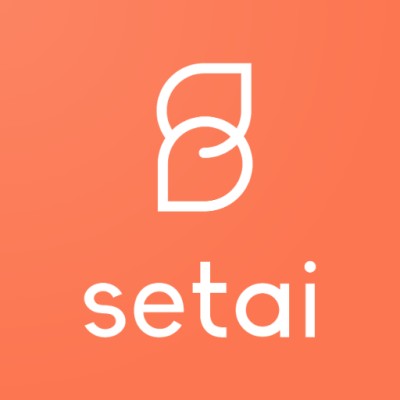 Setai's Logo