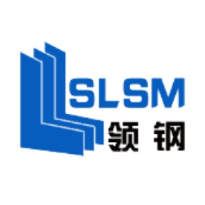 Shandong Leading Steel Machinery Co.Ltd's Logo