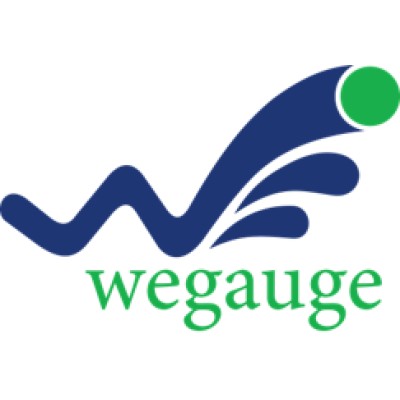 WEGAUGE PIPELINE INSPECTION & SERVICES Pvt.Ltd's Logo