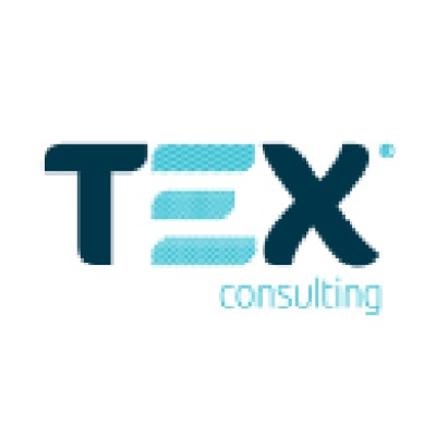 TEX Consulting's Logo