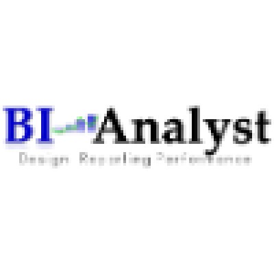 BIAnalyst GmbH & Co.KG's Logo