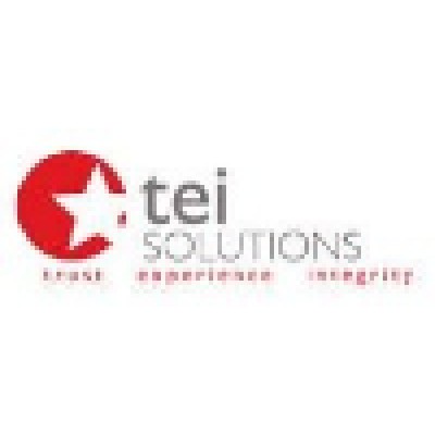 tei Solutions Inc's Logo