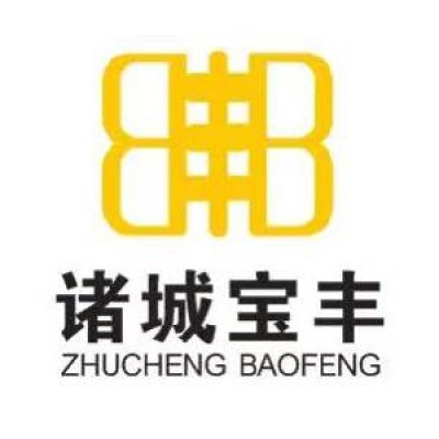 Zhucheng Baofeng International Group Co. Ltd.'s Logo