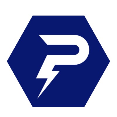 Panelectric's Logo