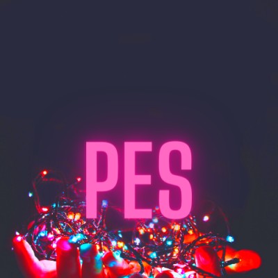 PES Electrical Pvt. Ltd.'s Logo