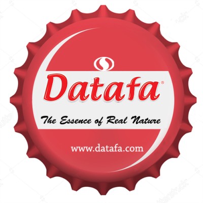 Datafa Company Limited Vietnam's Logo