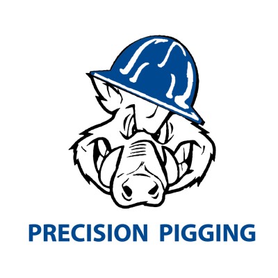 Precision Pigging Holdings LLC's Logo