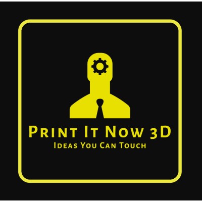 PrintItNow3D's Logo