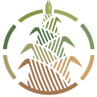 Bamboo Building Products's Logo