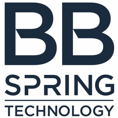 BB Spring Technology Srl's Logo