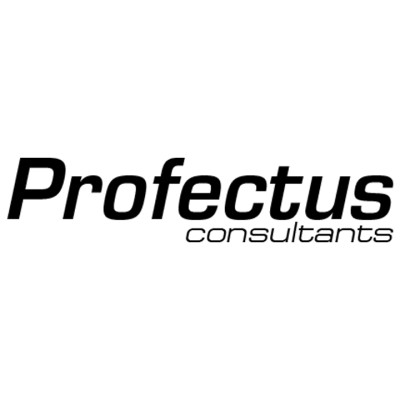 Profectus Consultants's Logo