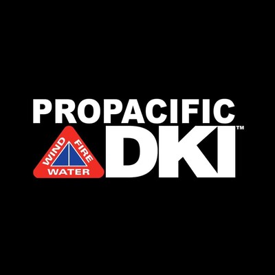 Pro Pacific DKI's Logo