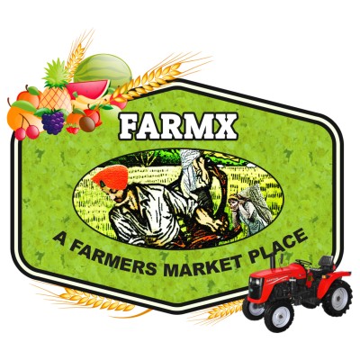 FarmX Logo