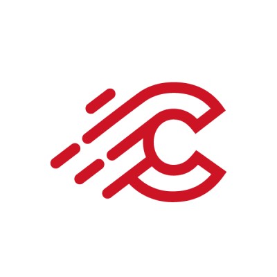 Cyberwise's Logo