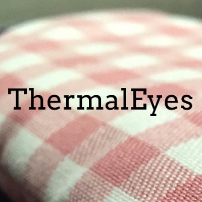 ThermalEyes's Logo