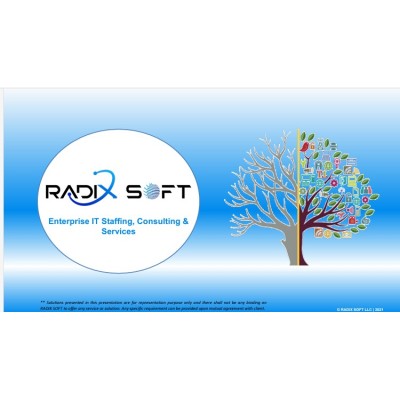 Radix Soft's Logo