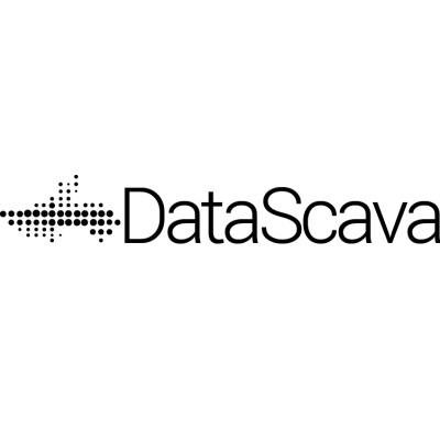 DataScava's Logo