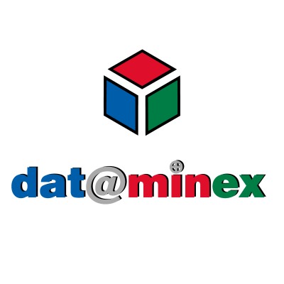 Dataminex Web Services Inc.'s Logo