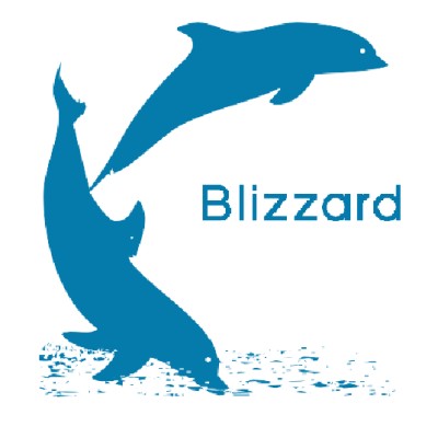 Blizzard's Logo