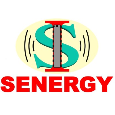 Senergy Intellution Pvt Ltd's Logo