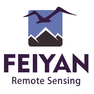 Feiyan Remote Sensing's Logo