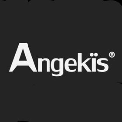 Angekis Technology's Logo