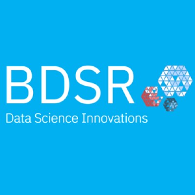 Big Data Science Research's Logo