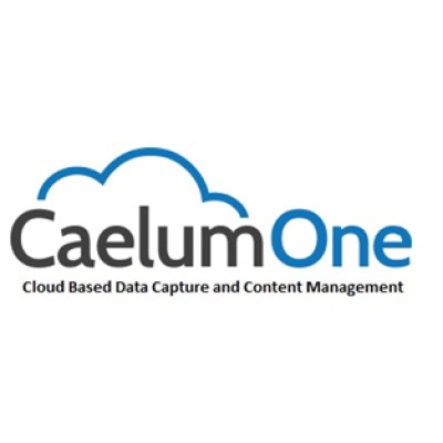 CaelumOne Solutions Corporation's Logo