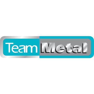 Team Metal (S) Pte Ltd's Logo