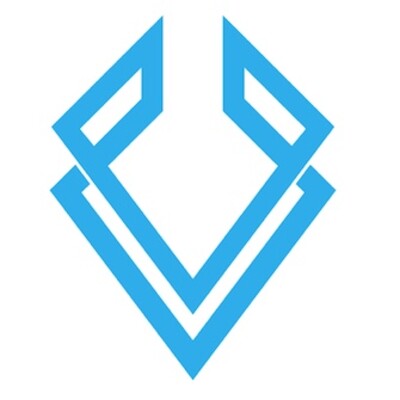 Viden's Logo