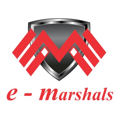 EMarshals Infosec's Logo