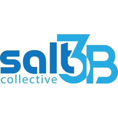 Salt3b's Logo