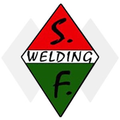 SF WELDING SRL's Logo