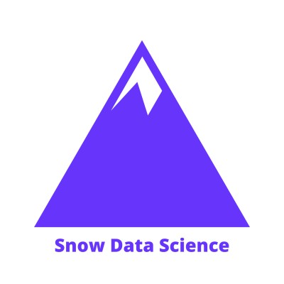 Snow Data Science's Logo