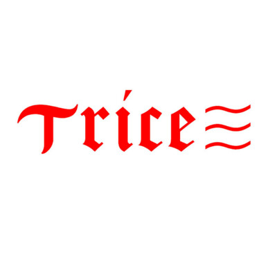 Trice Enterprises's Logo