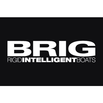 Top 100 Rigid Inflatable Boat Manufacturers in 2026 | ensun
