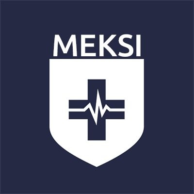 Meksi's Logo