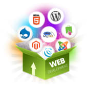 Web Development Company USA's Logo