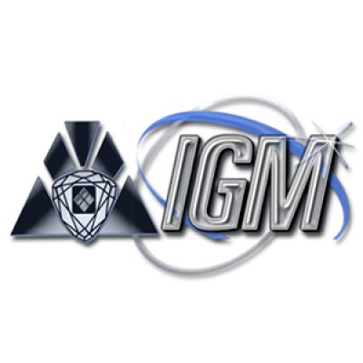 IGM SRL's Logo