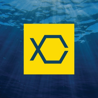 Boxfish Research's Logo