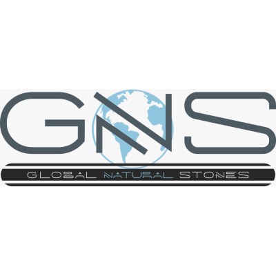 GNS Brazil's Logo