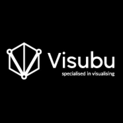 Visubu - specialized in visualizing's Logo